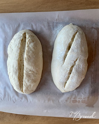 Teiglinge am Ende der Stückgare direkt vor dem Backen einschneiden