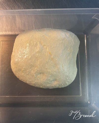 Weicher Focaccia-Teig mit Kartoffeln und Käse in einer geölten Teigwanne zu Beginn der Stockgare
