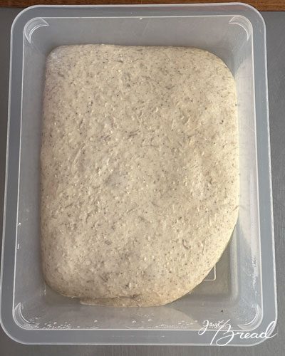 Gereifter Focaccia-Teig in der Teigwanne nach 18 bis 24 Stunden Kühlschrankgare