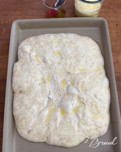 Focaccia-Teig in der Form, mit Olivenöl bestrichen, kurz vor dem Backen
