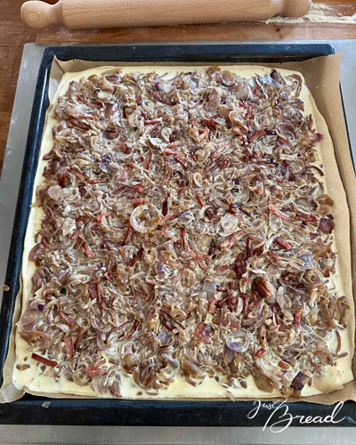 Zwiebelkuchen auf dem Backblech mit Zwiebeln, Speck und Guss vor dem Backen